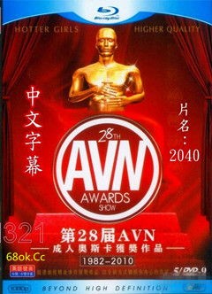 2040~AVN 成 人版